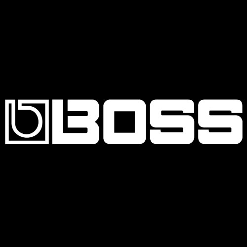 Endorsements-Boss